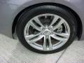 Platinum Graphite Gray - G 37 Coupe Photo No. 19