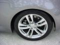 Platinum Graphite Gray - G 37 Coupe Photo No. 20