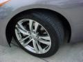 Platinum Graphite Gray - G 37 Coupe Photo No. 21
