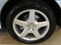 Iridium Silver Metallic - R 350 4Matic Photo No. 15
