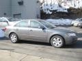 Willow Gray - Sonata GLS Photo No. 5