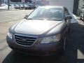 2009 Willow Gray Hyundai Sonata GLS  photo #8