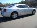 Bright Silver Metallic - Charger SE Photo No. 5