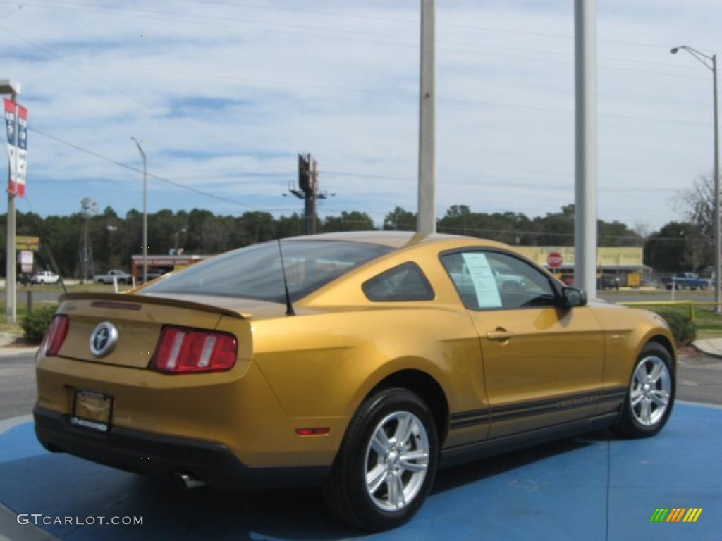 2010 Mustang V6 Coupe - Sunset Gold Metallic / Charcoal Black photo #5