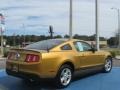 2010 Sunset Gold Metallic Ford Mustang V6 Coupe  photo #5