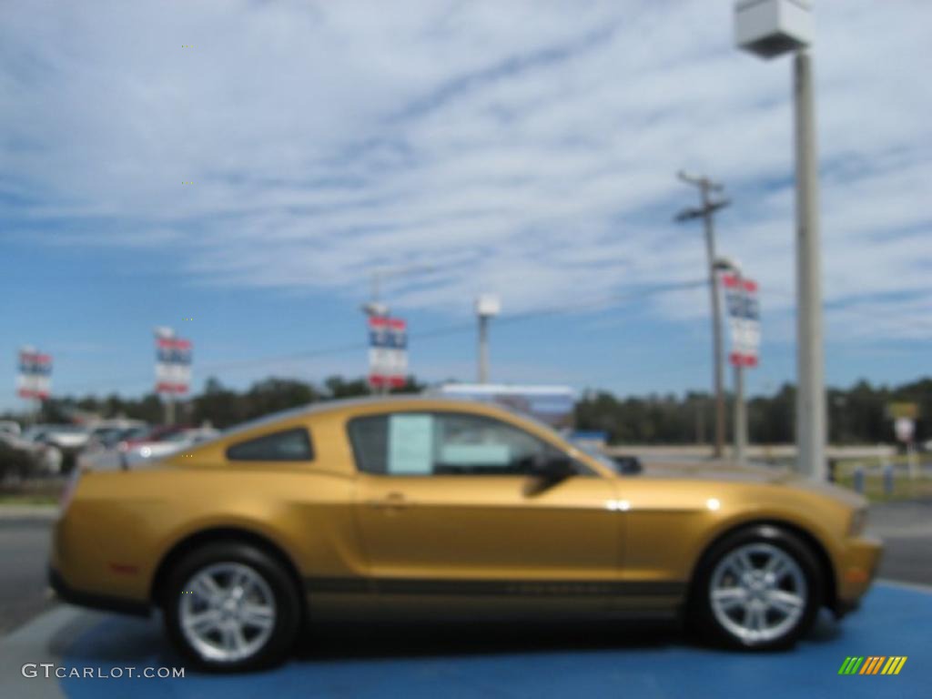 2010 Mustang V6 Coupe - Sunset Gold Metallic / Charcoal Black photo #6