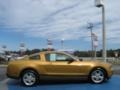 2010 Sunset Gold Metallic Ford Mustang V6 Coupe  photo #6