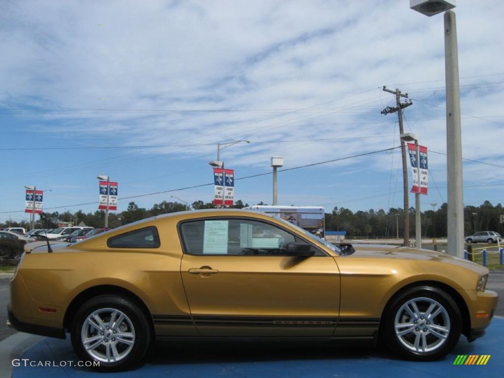 2010 Mustang V6 Coupe - Sunset Gold Metallic / Charcoal Black photo #7