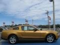 2010 Sunset Gold Metallic Ford Mustang V6 Coupe  photo #7