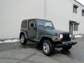 Shale Green Metallic - Wrangler Sahara 4x4 Photo No. 6