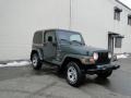 2002 Shale Green Metallic Jeep Wrangler Sahara 4x4  photo #6