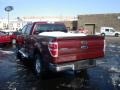 2010 Royal Red Metallic Ford F150 XLT SuperCrew 4x4  photo #5