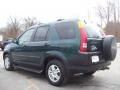 2004 Clover Green Pearl Honda CR-V EX 4WD  photo #2