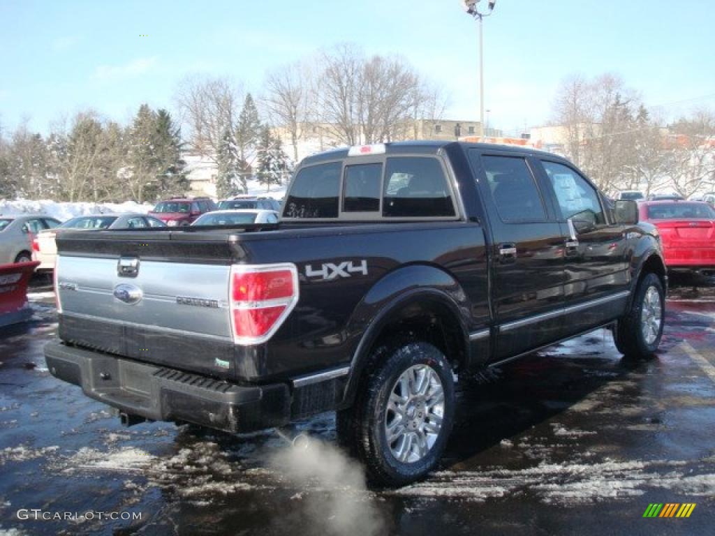 2010 F150 Platinum SuperCrew 4x4 - Tuxedo Black / Sienna Brown Leather/Black photo #3