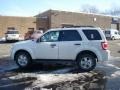 2010 White Suede Ford Escape XLT 4WD  photo #6