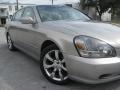 Brilliant Silver - Q 45 Luxury Sedan Photo No. 3