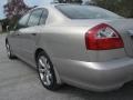 Brilliant Silver - Q 45 Luxury Sedan Photo No. 9