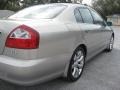 Brilliant Silver - Q 45 Luxury Sedan Photo No. 10