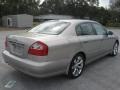 Brilliant Silver - Q 45 Luxury Sedan Photo No. 12