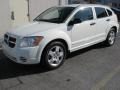 Stone White - Caliber SXT Photo No. 10