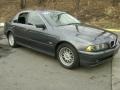 2001 Steel Blue Metallic BMW 5 Series 525i Sedan  photo #10