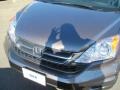 2010 Polished Metal Metallic Honda CR-V LX  photo #2