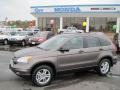 2010 Urban Titanium Metallic Honda CR-V EX  photo #1