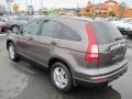 2010 Urban Titanium Metallic Honda CR-V EX  photo #3