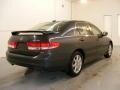 2004 Graphite Pearl Honda Accord EX V6 Sedan  photo #4