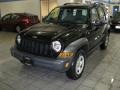 Black Clearcoat - Liberty Sport 4x4 Photo No. 2