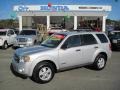 Silver Metallic - Escape XLT Photo No. 1