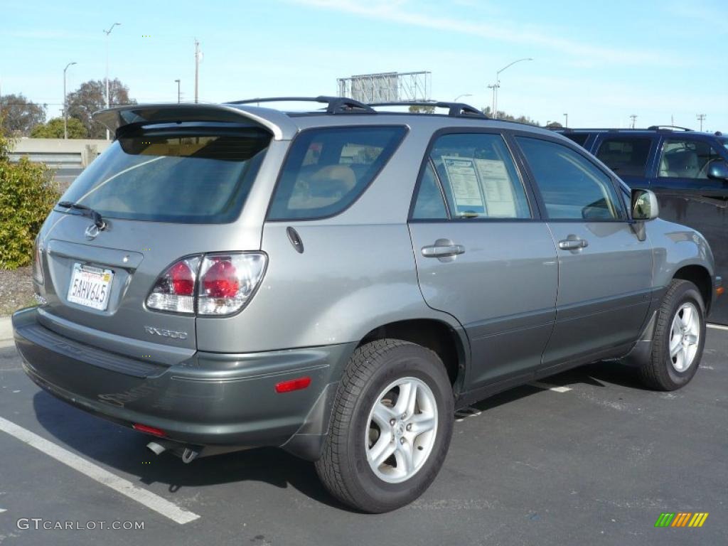 2003 RX 300 - Mineral Green Opalescent / Ivory photo #5