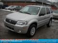 Silver Metallic - Mariner Luxury 4WD Photo No. 17