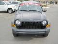 Black Clearcoat - Liberty Sport 4x4 Photo No. 8