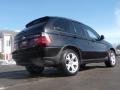 2003 Jet Black BMW X5 4.4i  photo #16