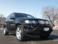 2003 Jet Black BMW X5 4.4i  photo #17