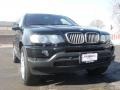 2003 Jet Black BMW X5 4.4i  photo #18