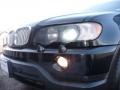 2003 Jet Black BMW X5 4.4i  photo #30