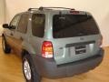 2007 Titanium Green Metallic Ford Escape XLT V6  photo #7