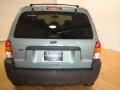 2007 Titanium Green Metallic Ford Escape XLT V6  photo #8