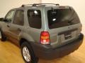 2007 Titanium Green Metallic Ford Escape XLT V6  photo #10