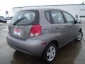 Cosmic Silver - Aveo 5 LS Hatchback Photo No. 4