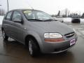 2007 Cosmic Silver Chevrolet Aveo 5 LS Hatchback  photo #6