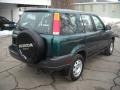Clover Green Pearl - CR-V LX 4WD Photo No. 2