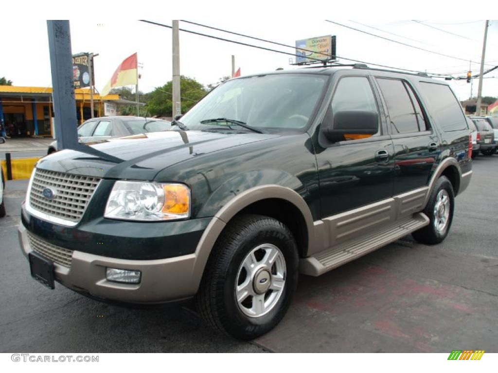 2003 Expedition Eddie Bauer - Aspen Green Metallic / Medium Parchment photo #1