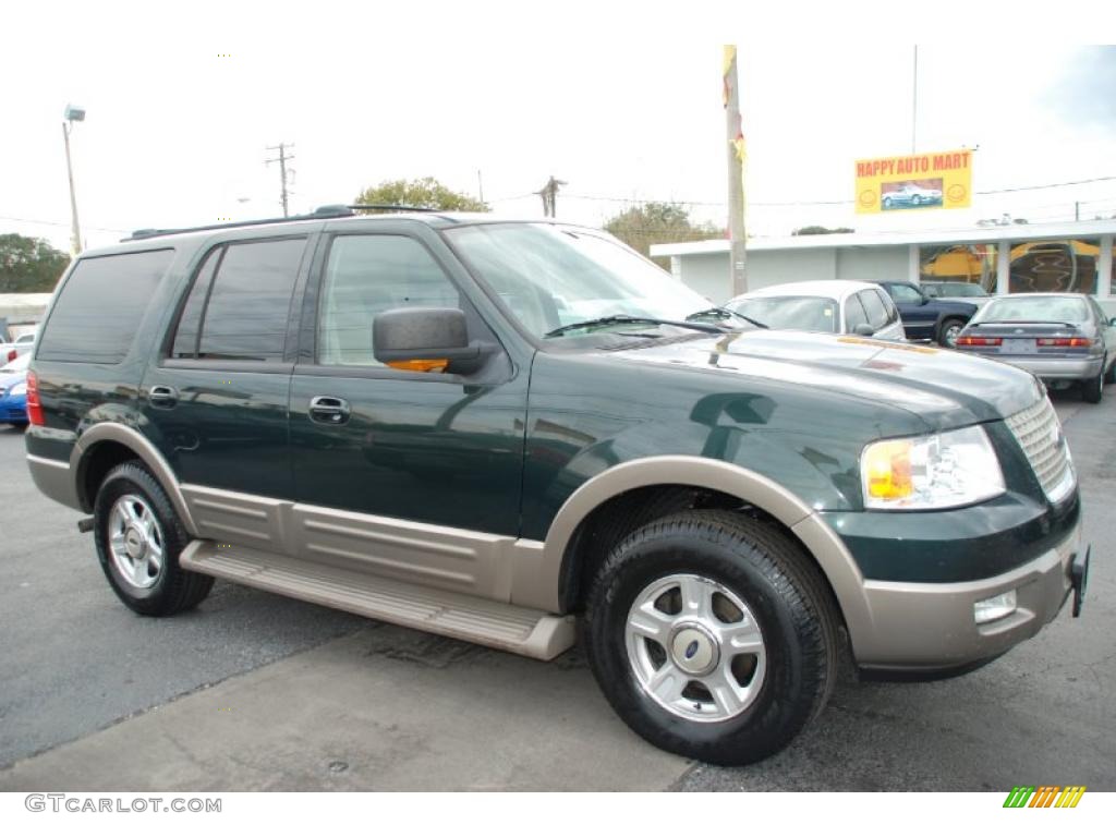 2003 Expedition Eddie Bauer - Aspen Green Metallic / Medium Parchment photo #2