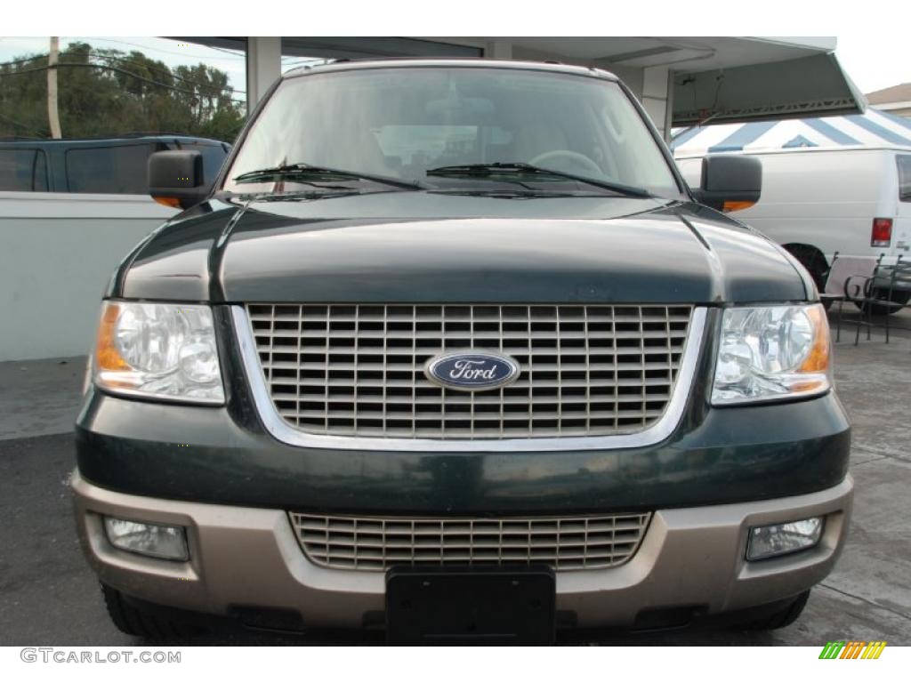 2003 Expedition Eddie Bauer - Aspen Green Metallic / Medium Parchment photo #4