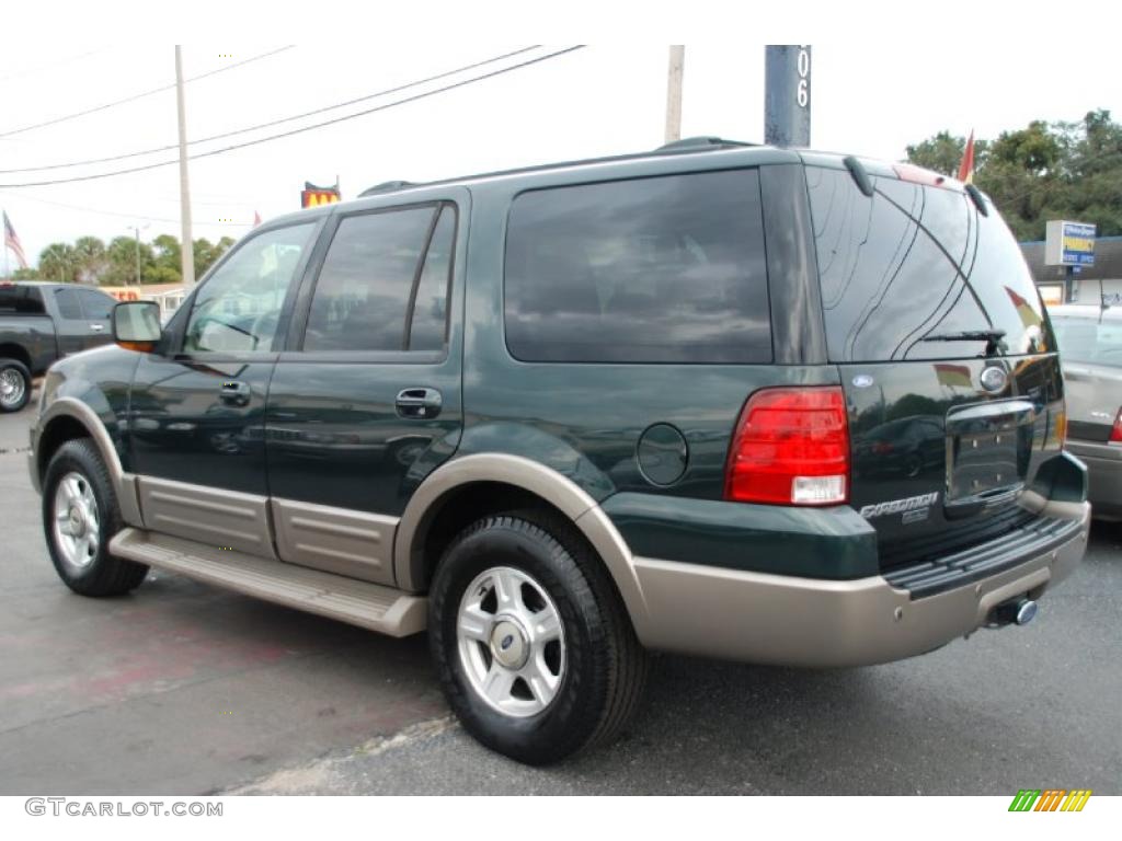 2003 Expedition Eddie Bauer - Aspen Green Metallic / Medium Parchment photo #5