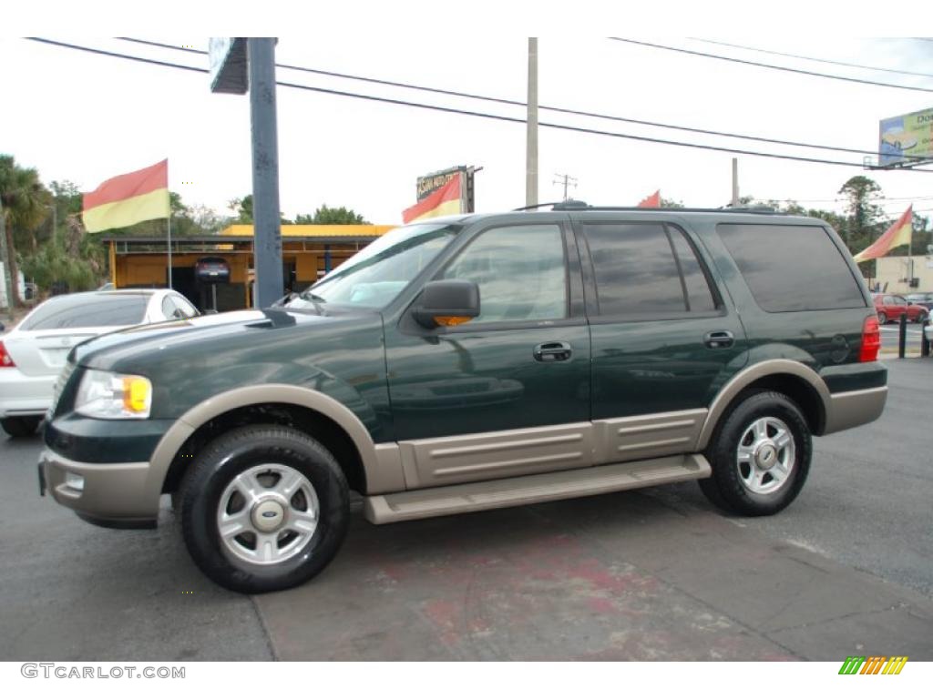 2003 Expedition Eddie Bauer - Aspen Green Metallic / Medium Parchment photo #7