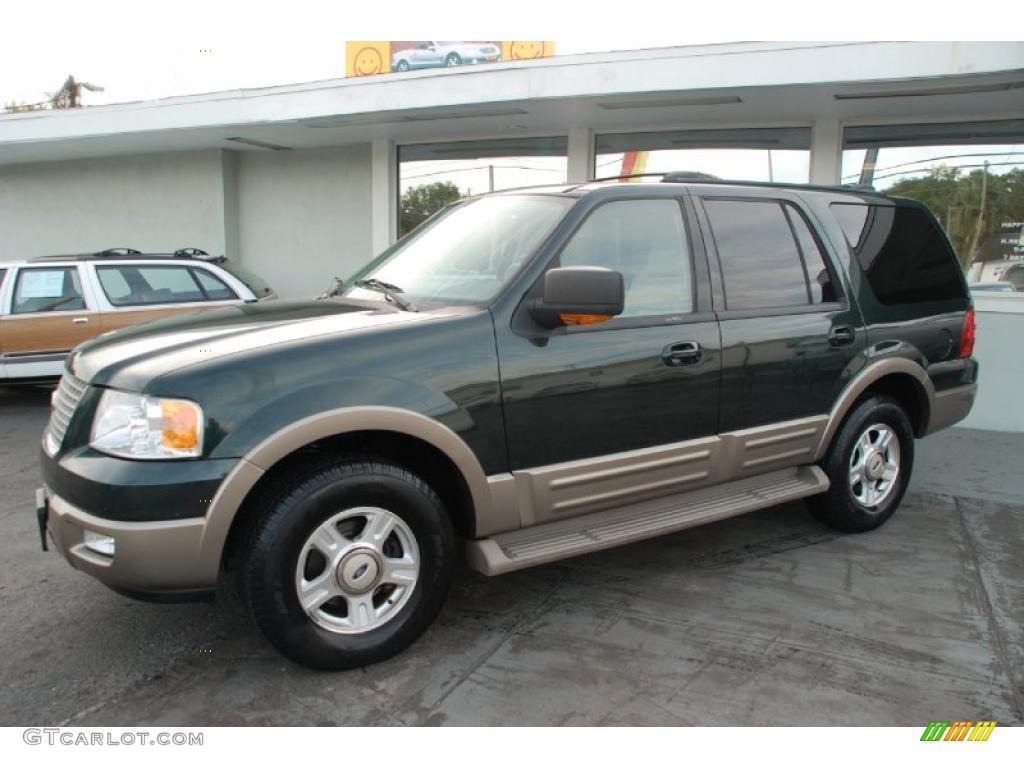 2003 Expedition Eddie Bauer - Aspen Green Metallic / Medium Parchment photo #8